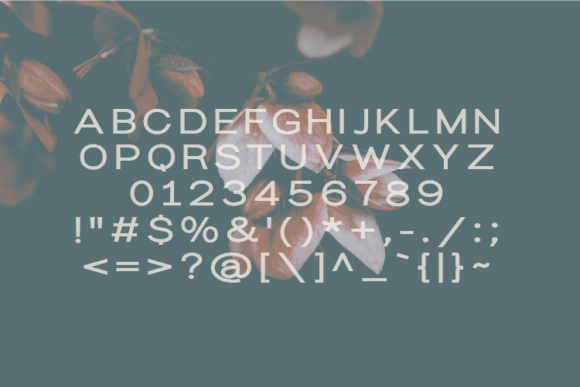 Curious Font - Preview 2