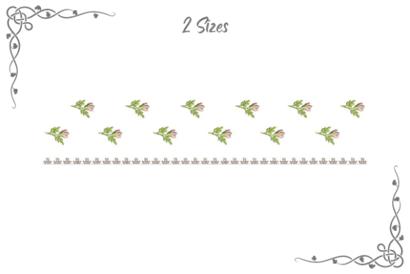 Creative Border