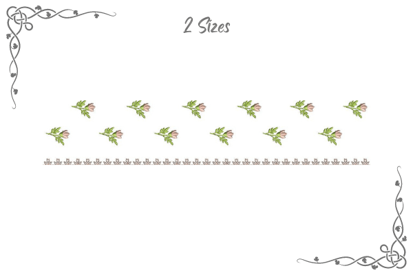 Creative Border