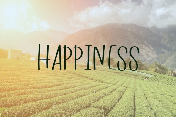 Exquisite Farm Font - Preview 5