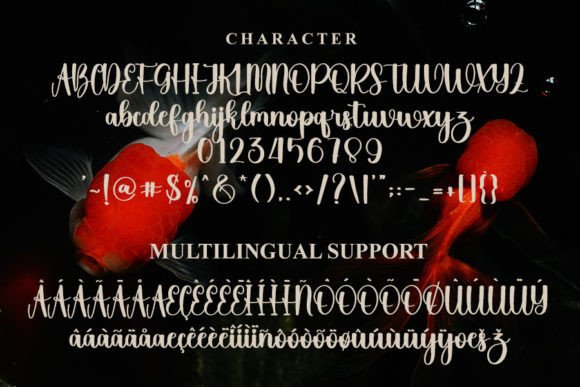 Goldfish Font - Preview 4