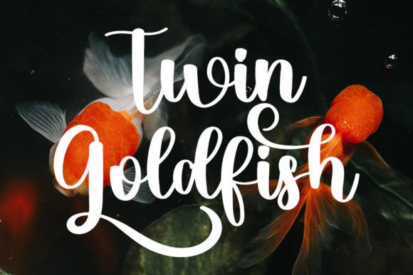 Goldfish Font - Preview 6