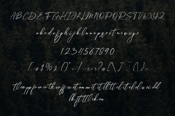 Amsterdam Font - Preview 6