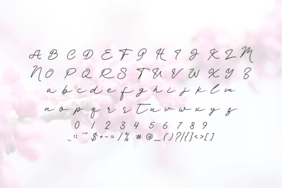 Rasinga Font PNG with transparent background - Preview 1
