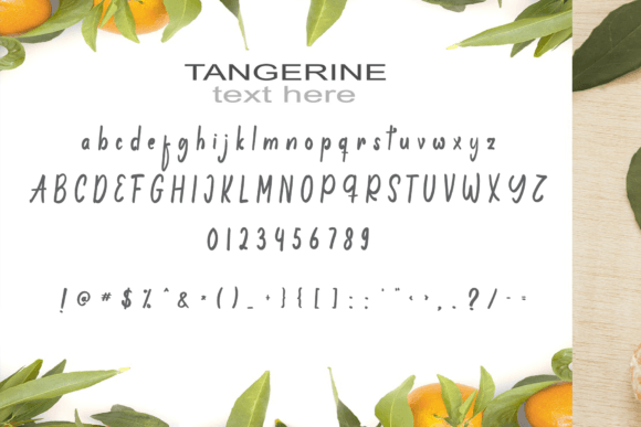 Anting Font - Preview 3