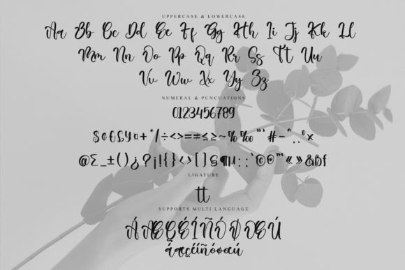 Branches Font - Preview 6