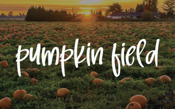 Halloween Font - Preview 3