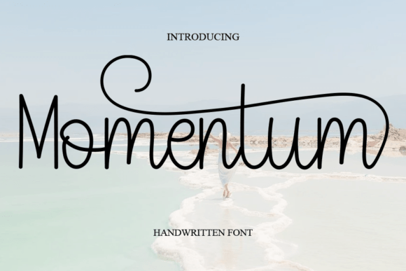 Momentum