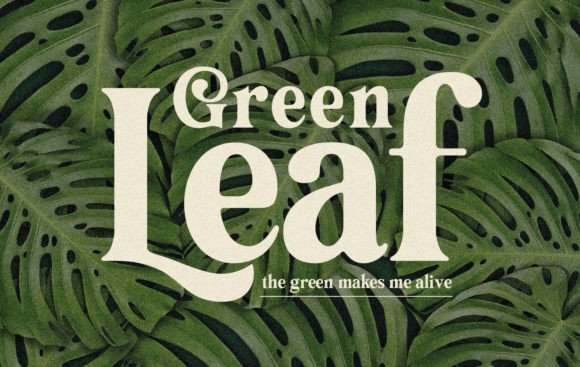 Medami Font PNG with transparent background - Preview 6
