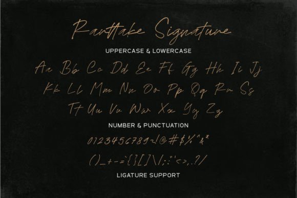 Rarttake Signature Font PNG with transparent background - Preview 3