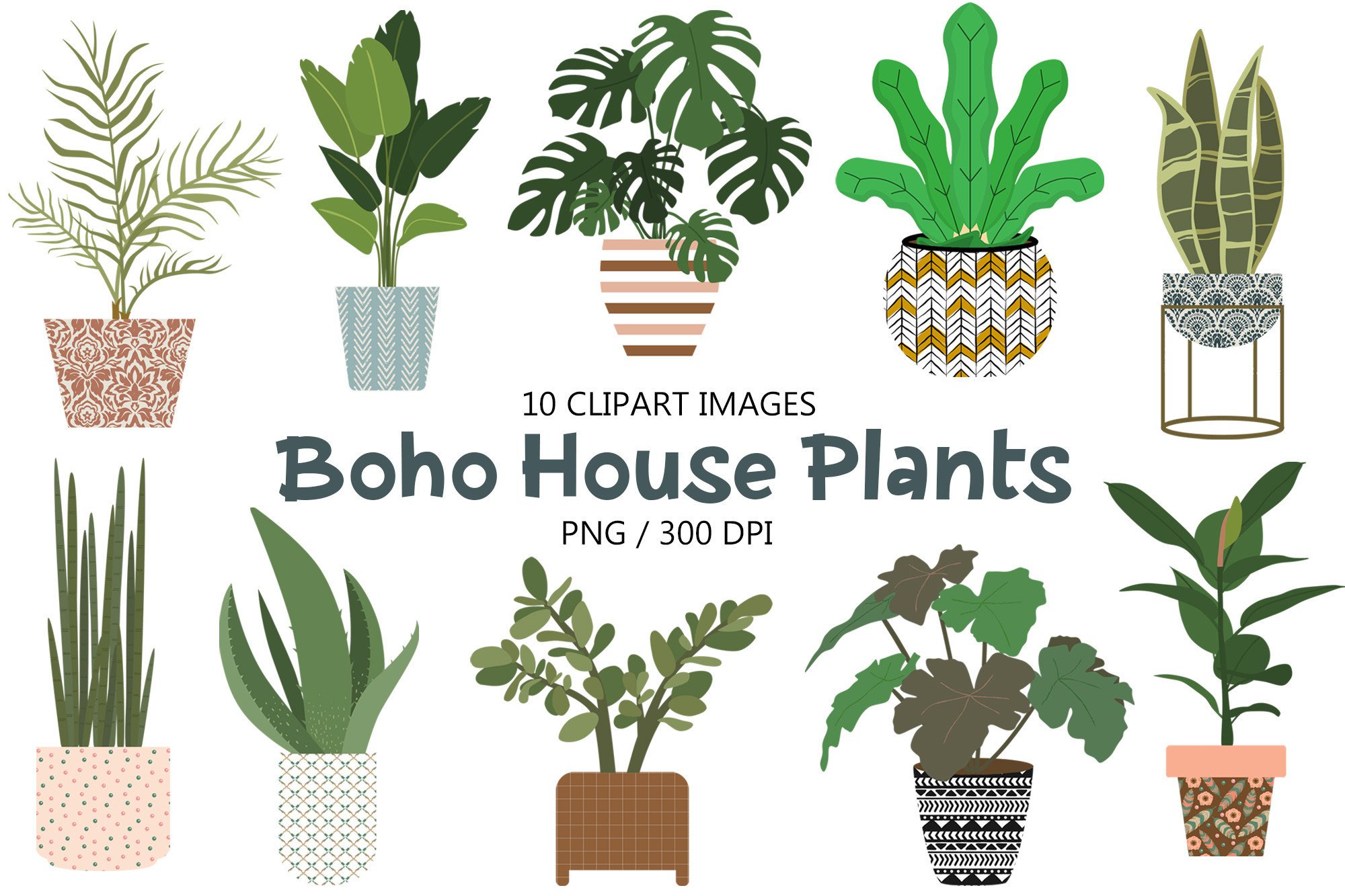 Boho House Plants Clipart Grafik Von NiftyCraftyHouse  Creative Fabrica