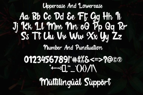 Logitect Font PNG with transparent background - Preview 3