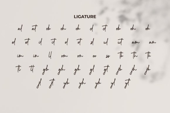 Calvin Beatrice Font - Preview 4