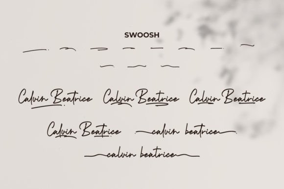 Calvin Beatrice Font - Preview 6