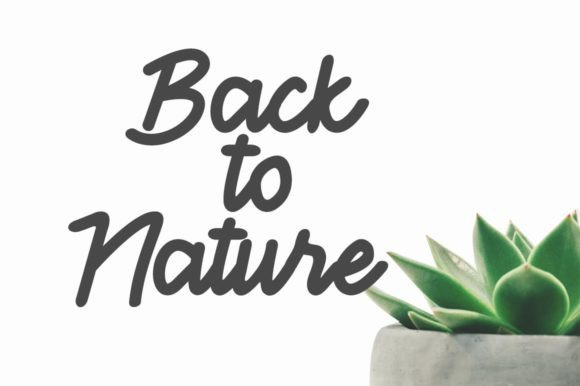 Cemara Font - Preview 1