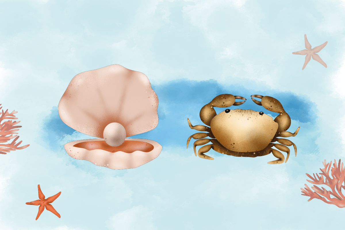 Under the Sea Clipart Free - photo 2
