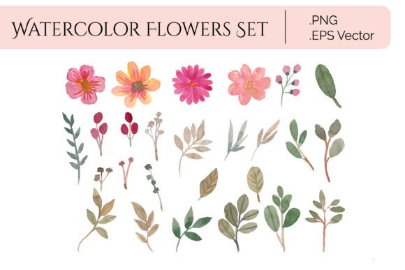 Watercolor Flowers Element Graphic Illustrations By temanimajeristudio