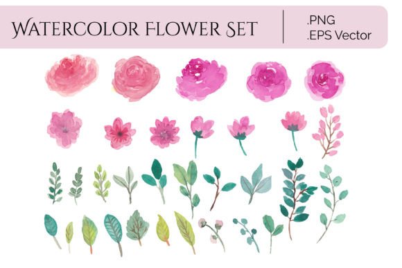 Watercolor Flowers Isolated Element Graphic Illustrations By temanimajeristudio