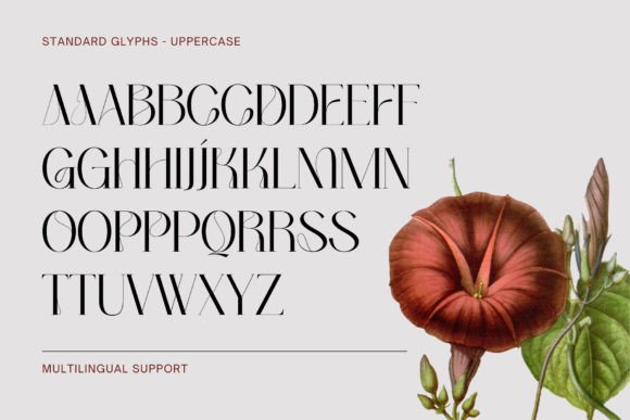 Bumerang Font - Preview 4
