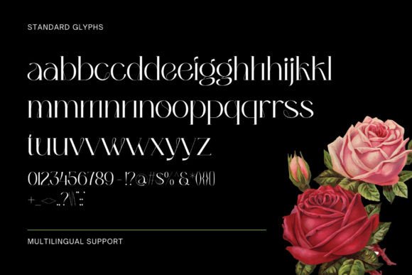Bumerang Font - Preview 5