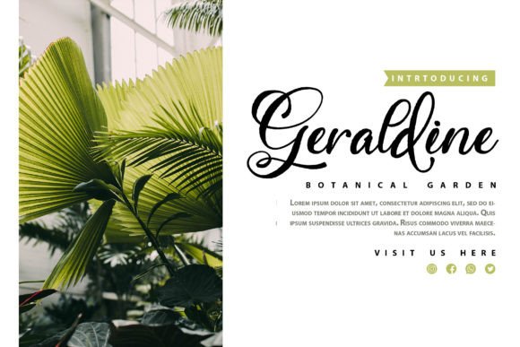 Centaury Font - Preview 2