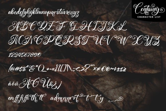 Centaury Font - Preview 4