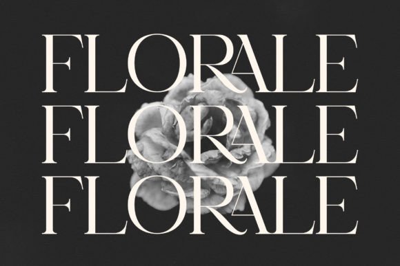 Gaela Font PNG with transparent background - Preview 5