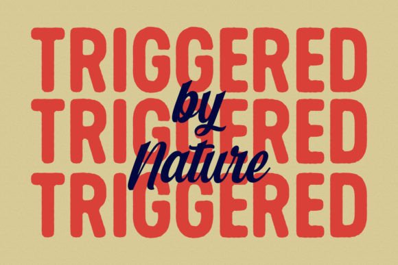 Nirbon Duo Font PNG with transparent background - Preview 6