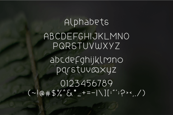 Callimanten Font - Preview 4