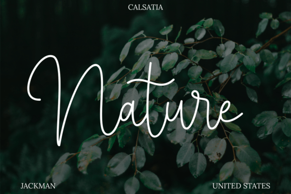 Calsatia Font - Preview 2
