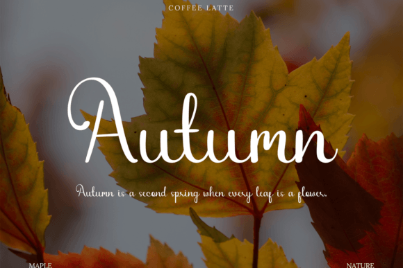 Coffee Latte Font - Preview 6