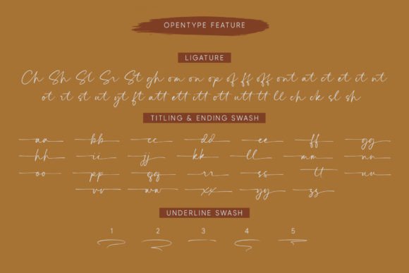 Contury Font - Preview 5