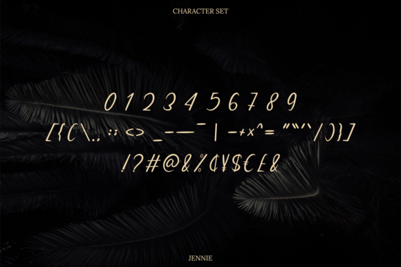 Jennie Font PNG with transparent background - Preview 5