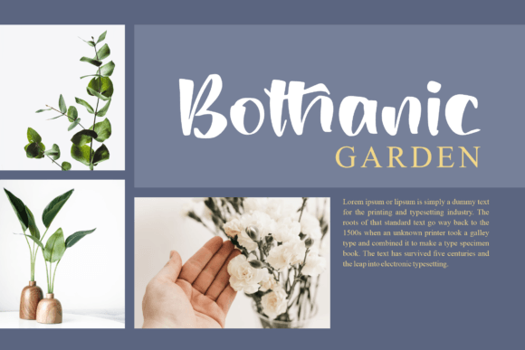 Methylia Font PNG with transparent background - Preview 3