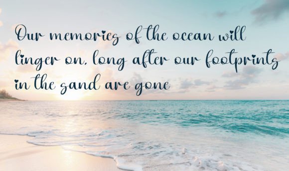 Palm Beach Font PNG with transparent background - Preview 2