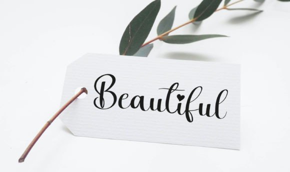 Palm Beach Font PNG with transparent background - Preview 5