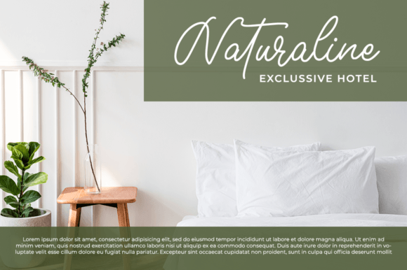 Berellina Font - Preview 1