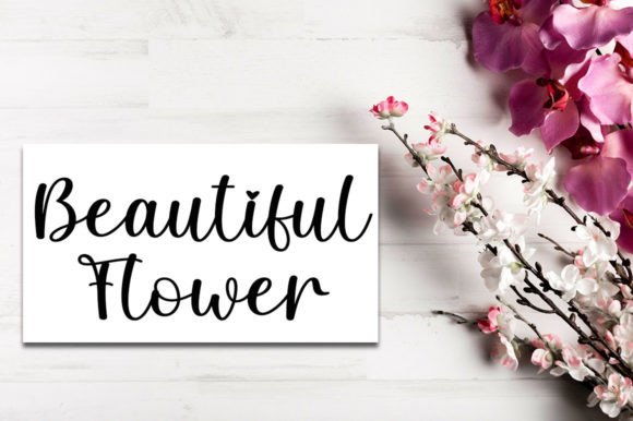 Caila Font - Preview 1