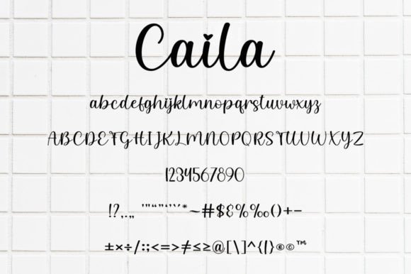 Caila Font - Preview 4