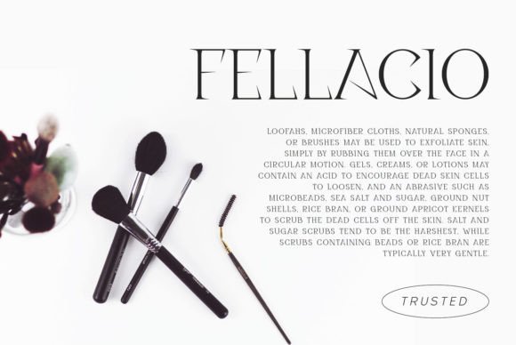 Disenativo Font - Preview 6