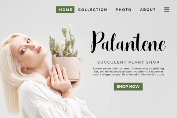 Sivalani Font PNG with transparent background - Preview 3