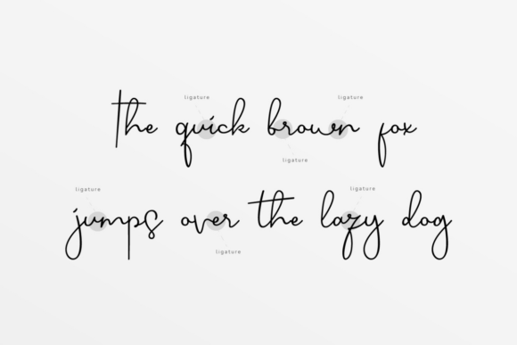 Sjover Font PNG with transparent background - Preview 4