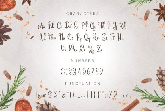Calinastiya Font - Preview 5