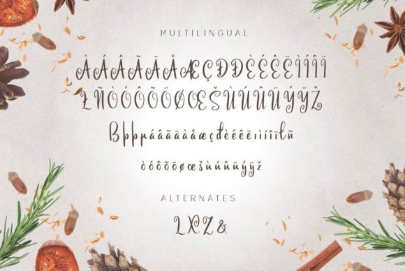 Calinastiya Font - Preview 6