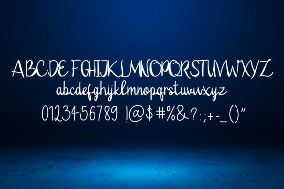 Camilla Font - Preview 5