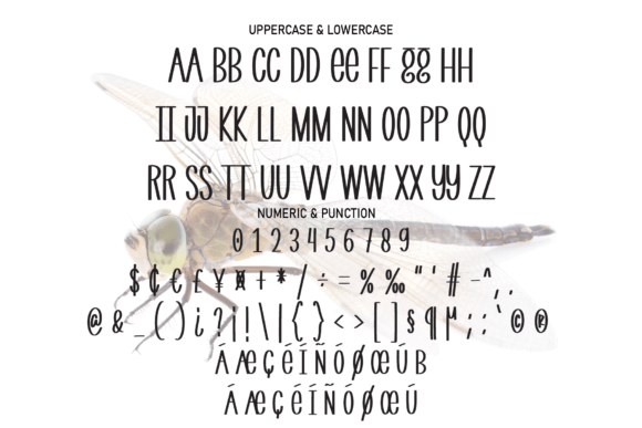 Dragonfly Font - Preview 6