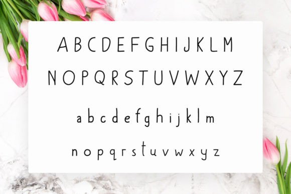 Hardwyn Font - Preview 1