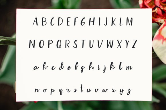 Natalee Font PNG with transparent background - Preview 1