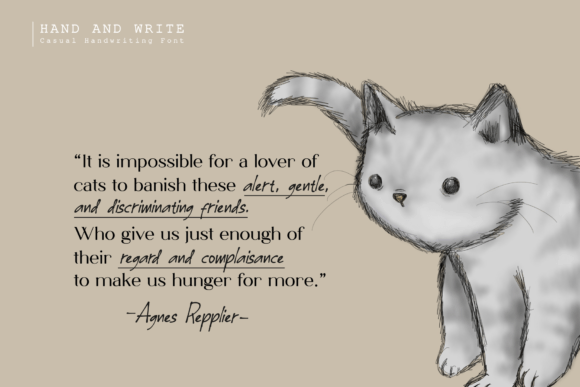 Hand and Write Font PNG with transparent background - Preview 4