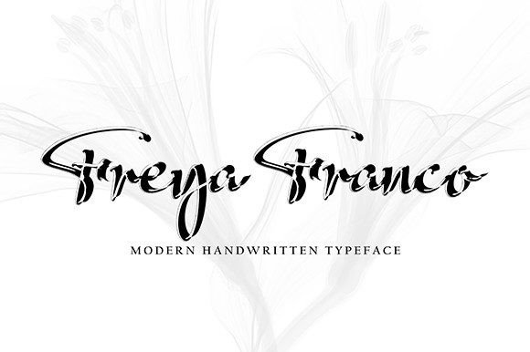 Alega Font - Preview 4